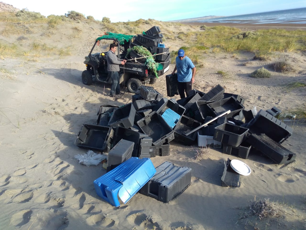 Comenzó la limpieza de las costas de Península Valdés