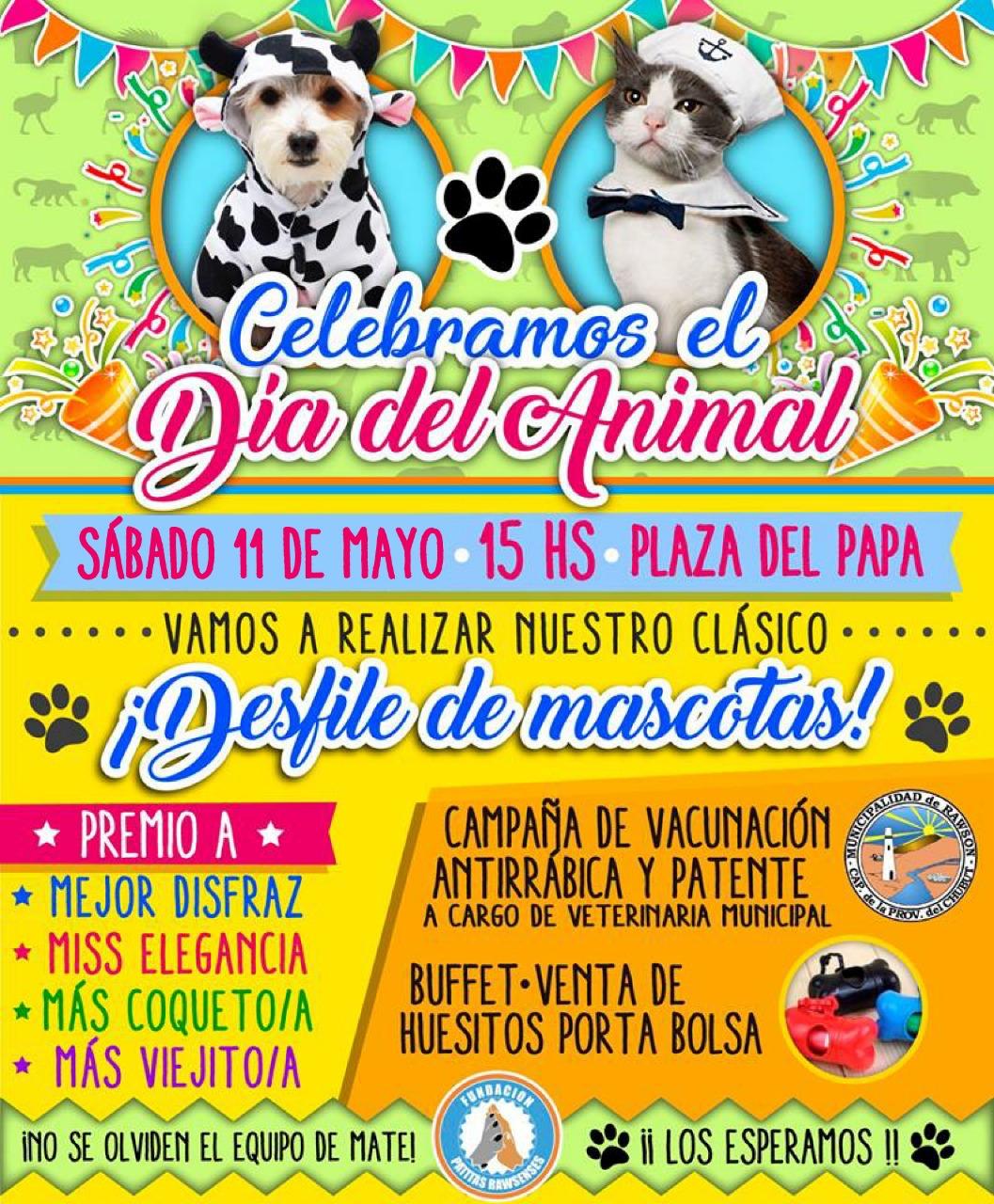 Rawson festeja este fin de semana el día del animal