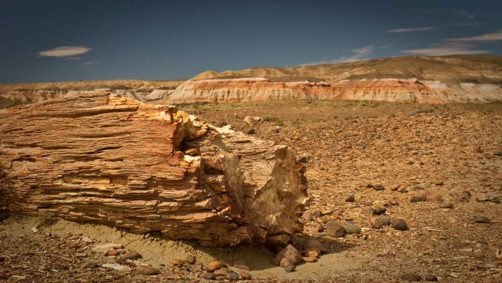 ECLIPSE SOLAR: JORNADA DE ACTIVIDADES EN EL BOSQUE PETRIFICADO SARMIENTO