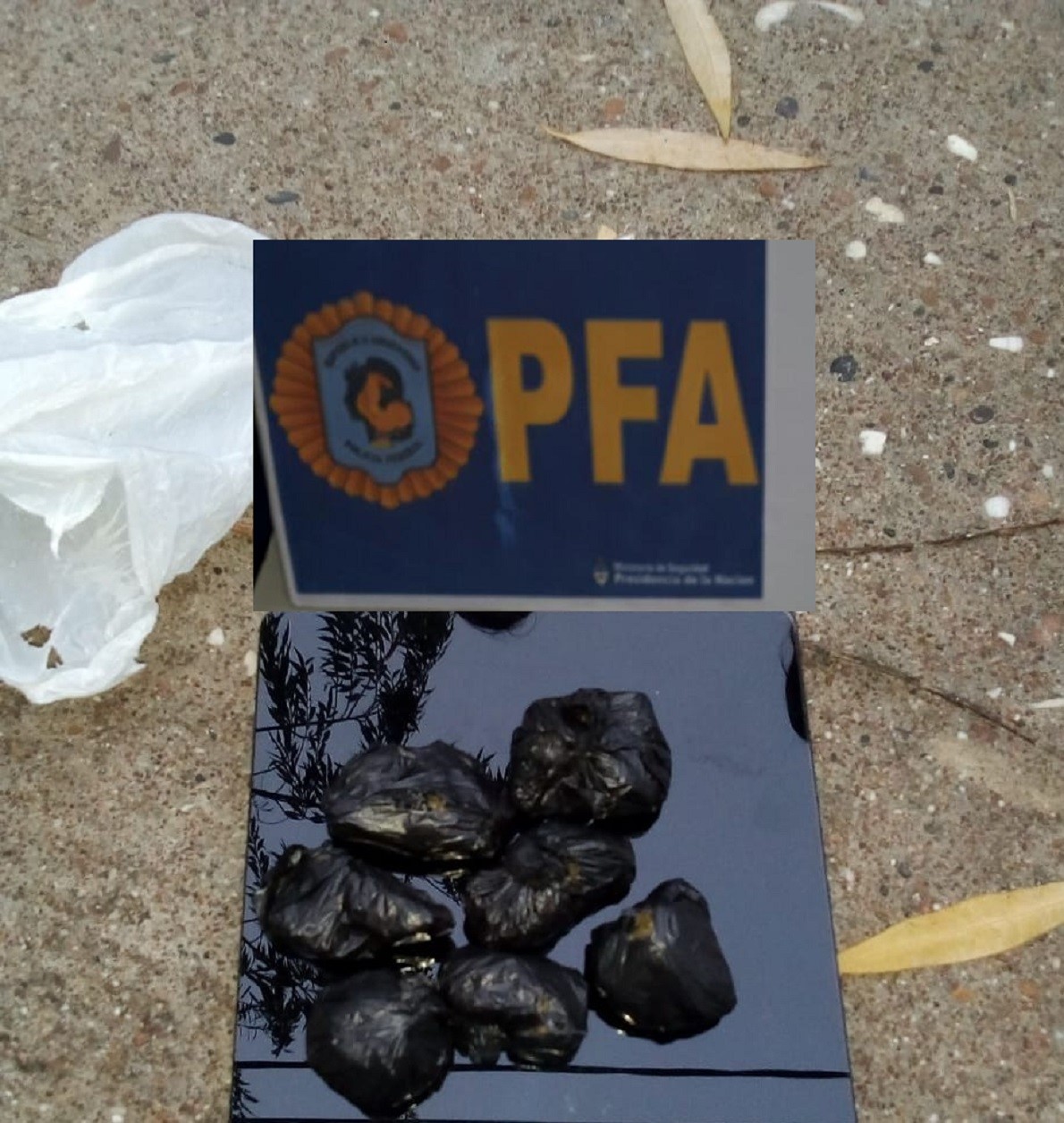 LA POLICÍA FEDERAL LO AGARRÓ CON MARIHUANA EN LA TERMINAL