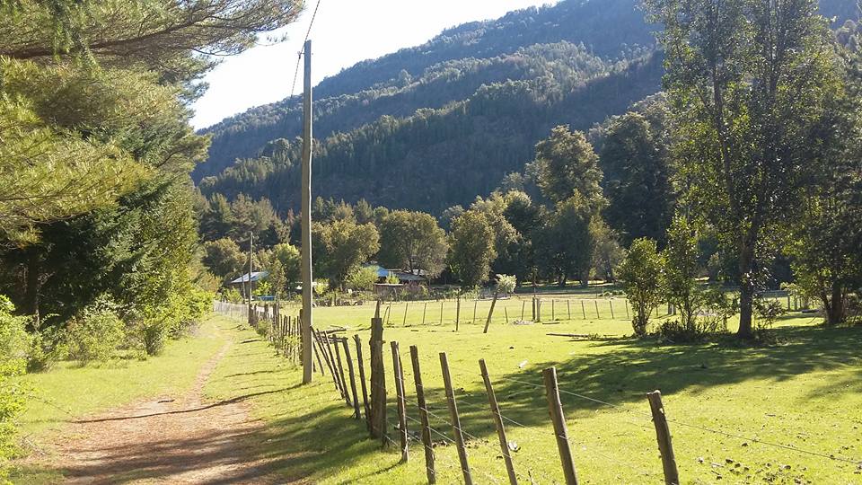 PRODUCCIÓN ENTREGÓ APORTE PARA CONSERVACIÓN DE BOSQUES NATIVOS