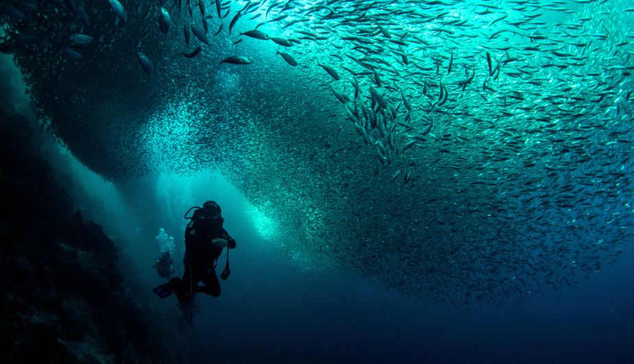 JORNADA POR EL DÍA DE LOS OCÉANOS