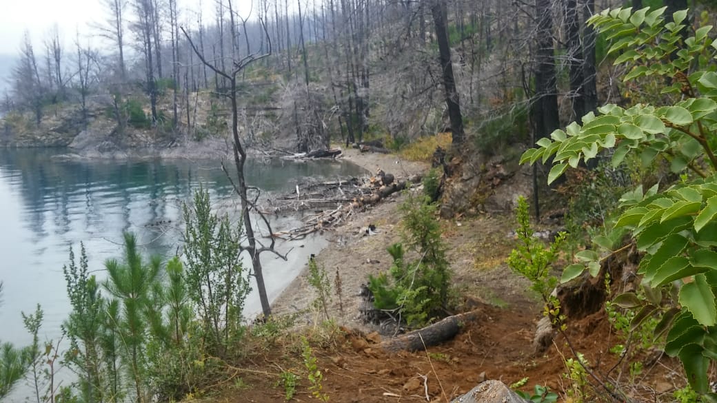AVANZA RESTAURACIÓN EN LA RESERVA PROVINCIAL LAGO EPUYÉN
