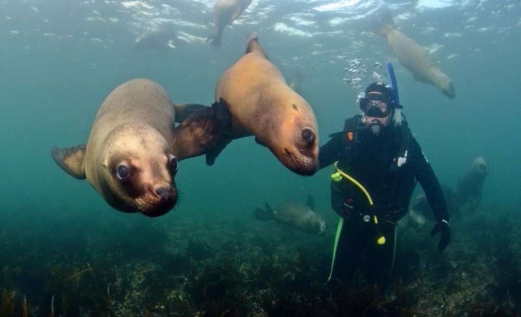 El Ecocentro celebra la Semana del Buceo con actividades para toda la familia