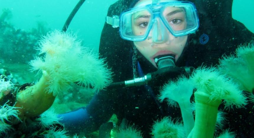 HAY MÁS DE 3 MIL ESPECIES DE INVERTEBRADOS EN EL MAR ARGENTINO