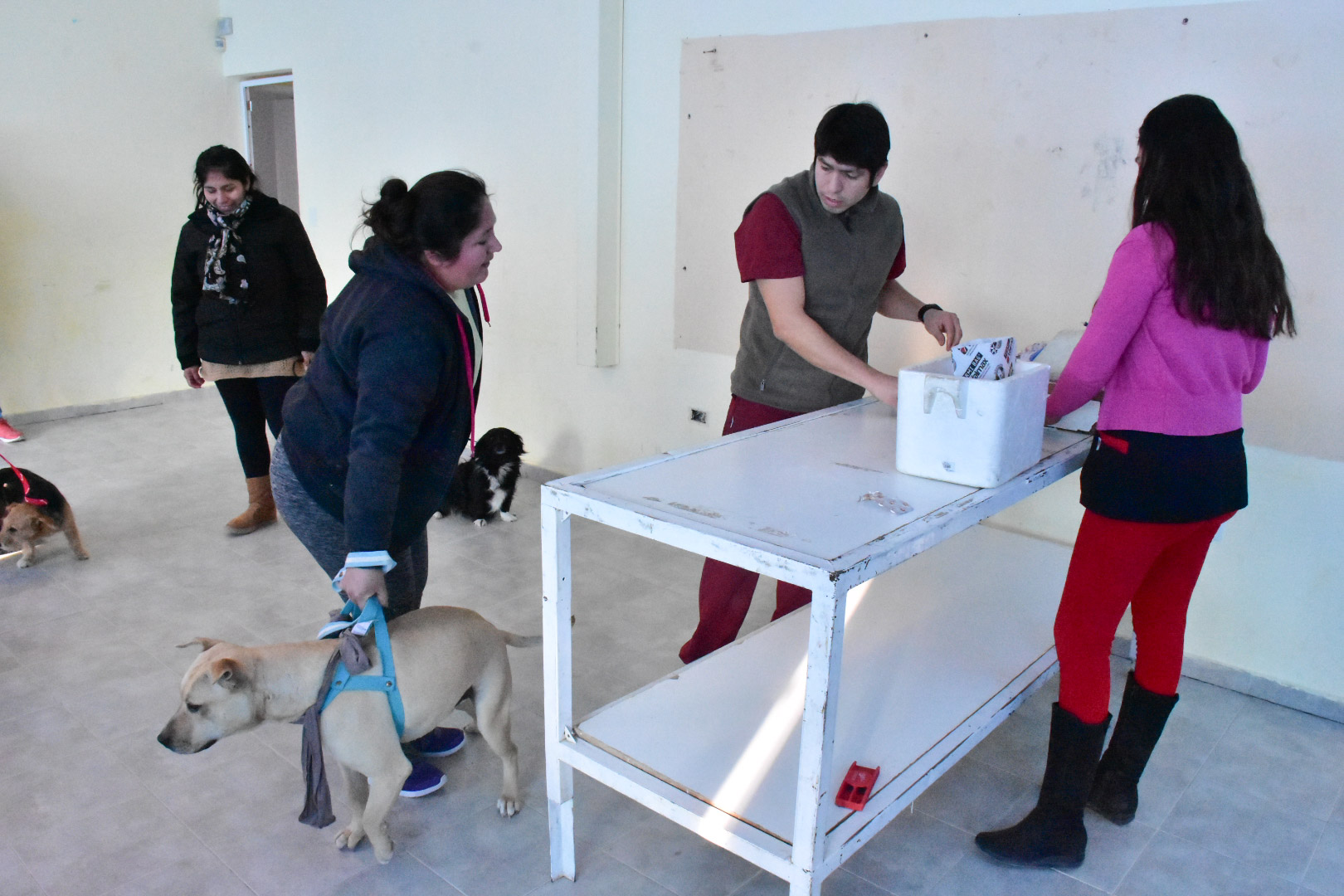 INICIA EL CICLO 2020 DE LAS CAMPAÑAS GRATUITAS PARA MASCOTAS