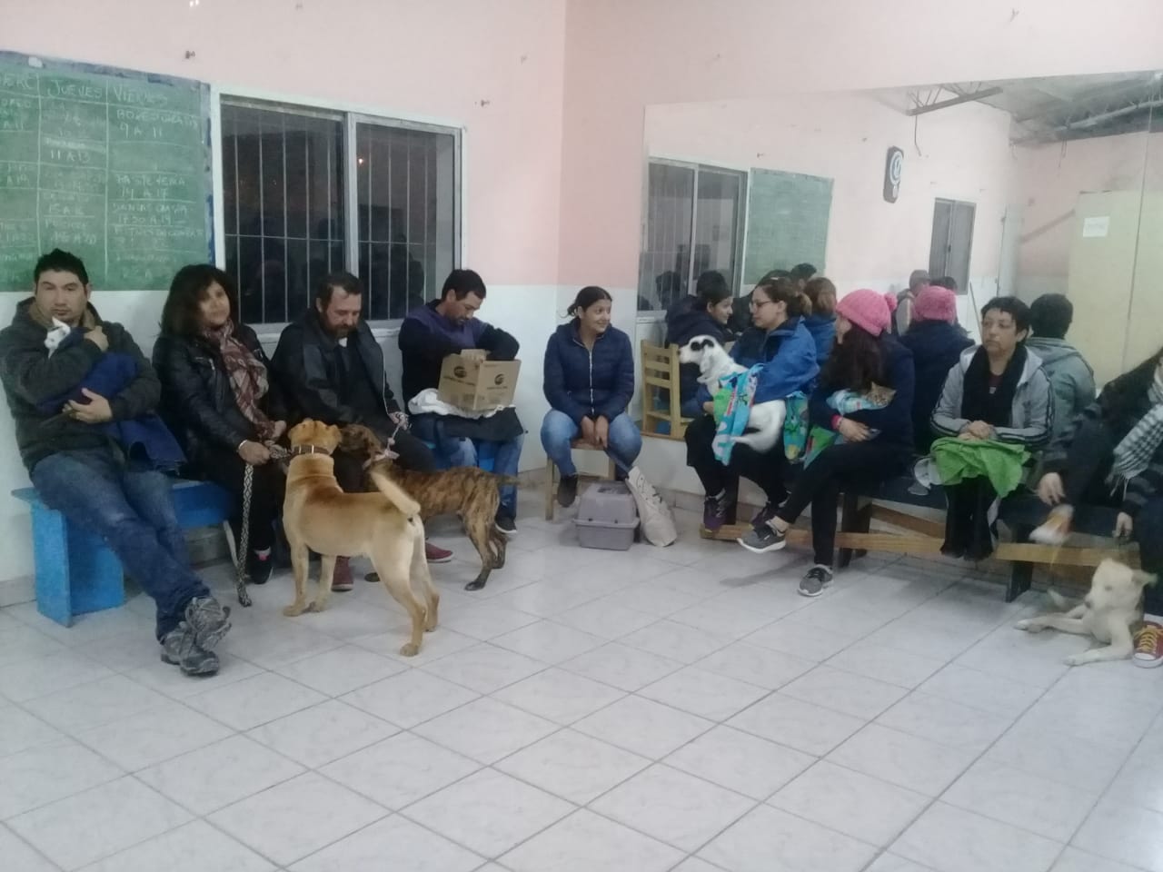 CASTRACIONES GRATUITAS EN EL BARRIO VILLA PADILLA