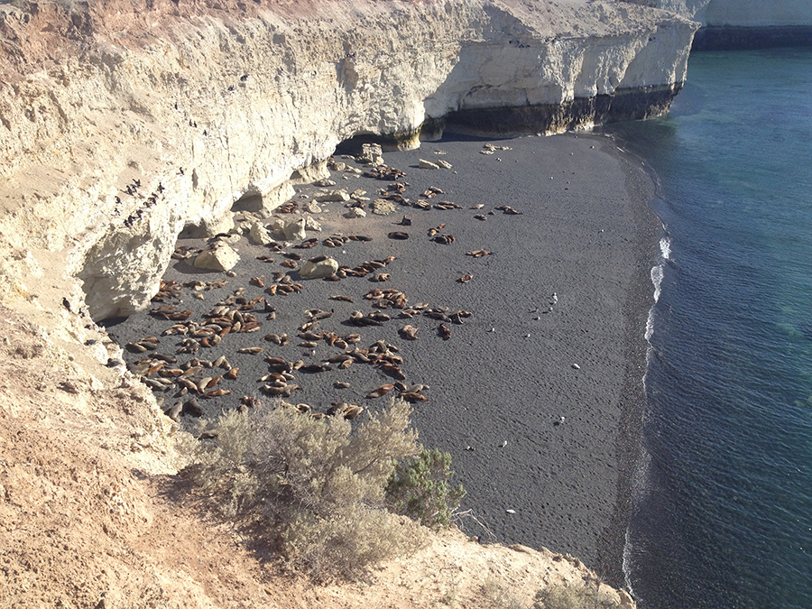 COMIENZA LA CO-ADMINISTRACIÓN DE LA RESERVA DE PUNTA LOMA