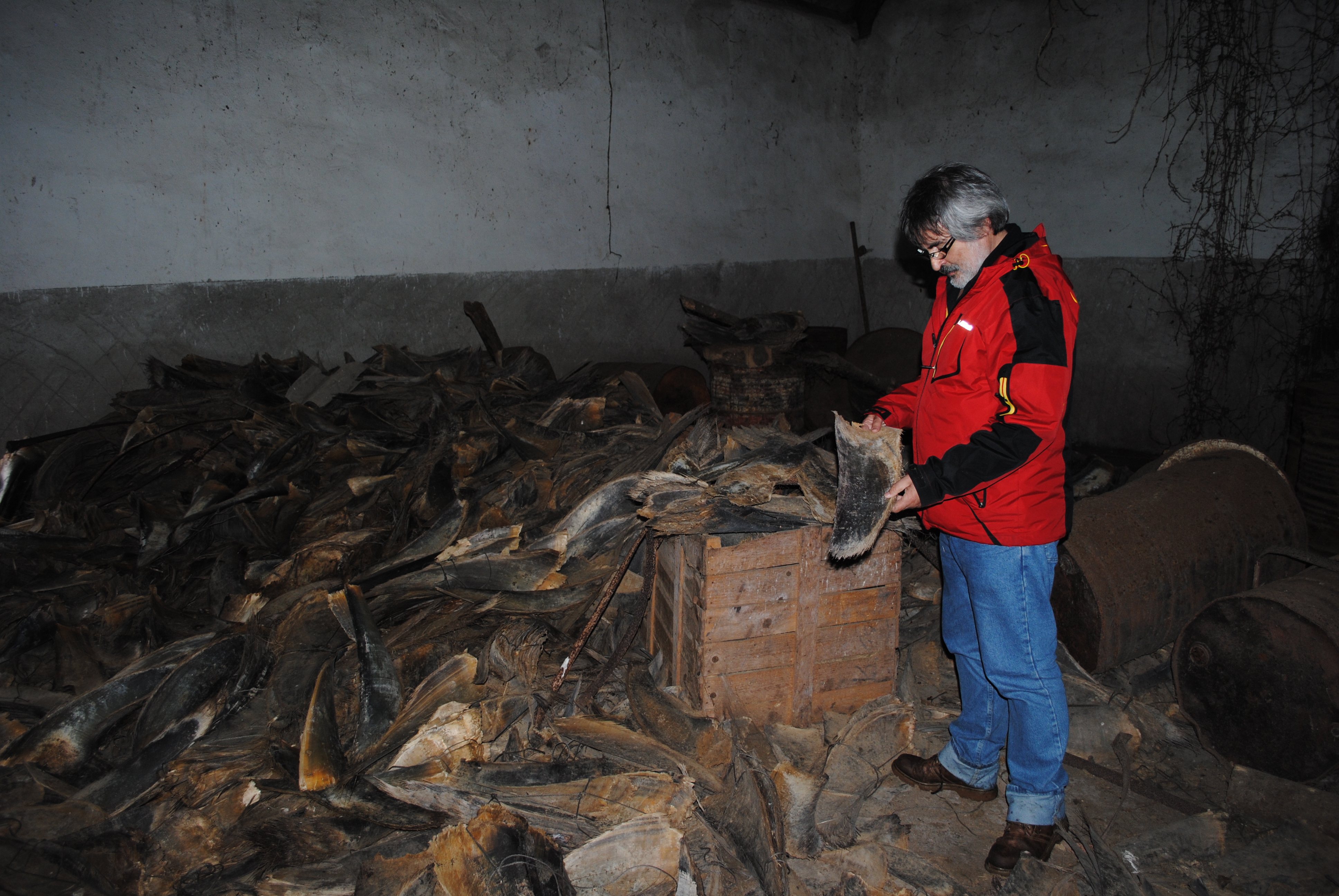 DOS CHARLAS SOBRE BALLENAS CON MIRADA ANTROPOLÓGICA