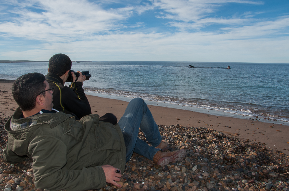 SEMANA DEL ORGULLO LGBT: SE DICTARÁ CAPACITACIÓN A PRESTADORES TURÍSTICOS SOBRE EL SEGMENTO