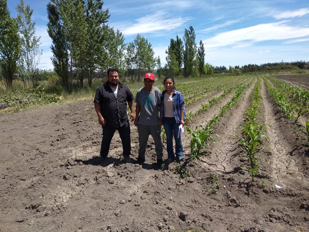 EL MERCADO CONCENTRADOR TRABAJA EN LA FORMALIZACIÓN DE LA PRODUCCIÓN HORTÍCOLA