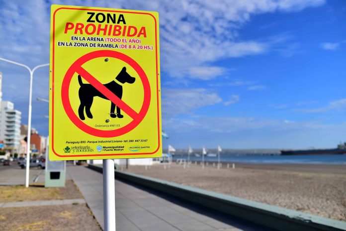 RECUERDAN PROHIBICIÓN DE PASEAR PERROS EN LA PLAYA