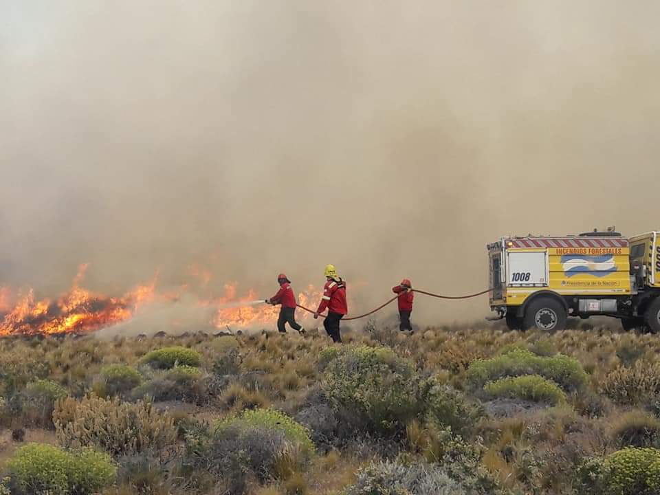 BRIGADISTAS LOGRARON CONTENER INCENDIO EN ARROYO PESCADO