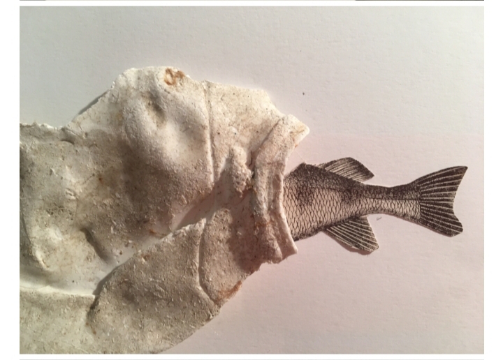 MADRYN SERÁ SEDE DE UNA IMPORTANTE MUESTRA DE ARTE Y CIENCIA