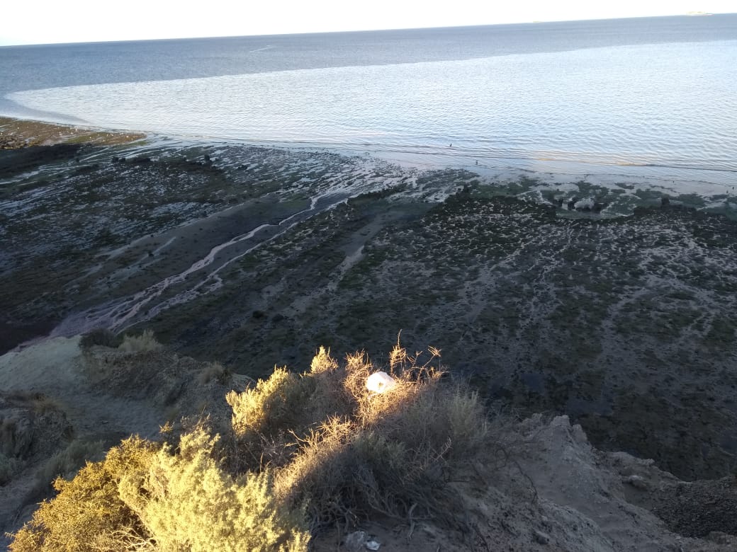 CLAUSURARON DOS PESQUERAS POR ARROJAR LÍQUIDOS CLOACALES