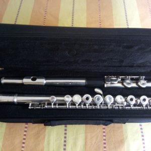 CUANTIOSO ROBO A MÚSICOS DE MADRYN