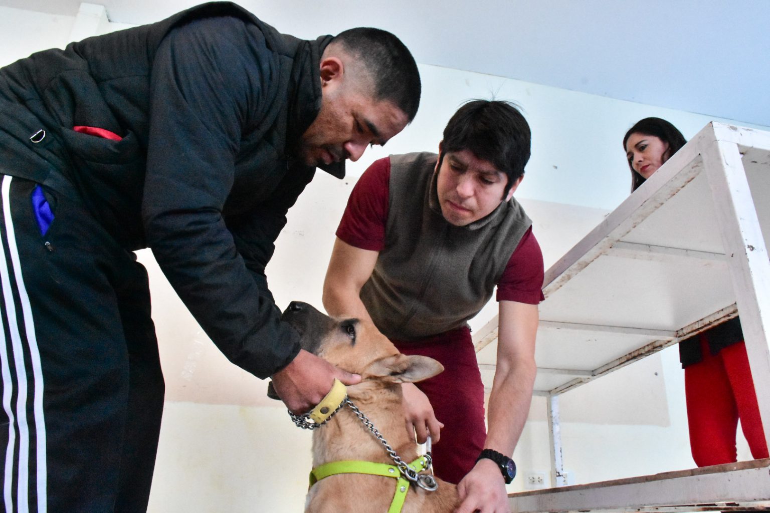 CAMPAÑA GRATUITA DE VACUNACIÓN EN EL BARRIO GÜEMES