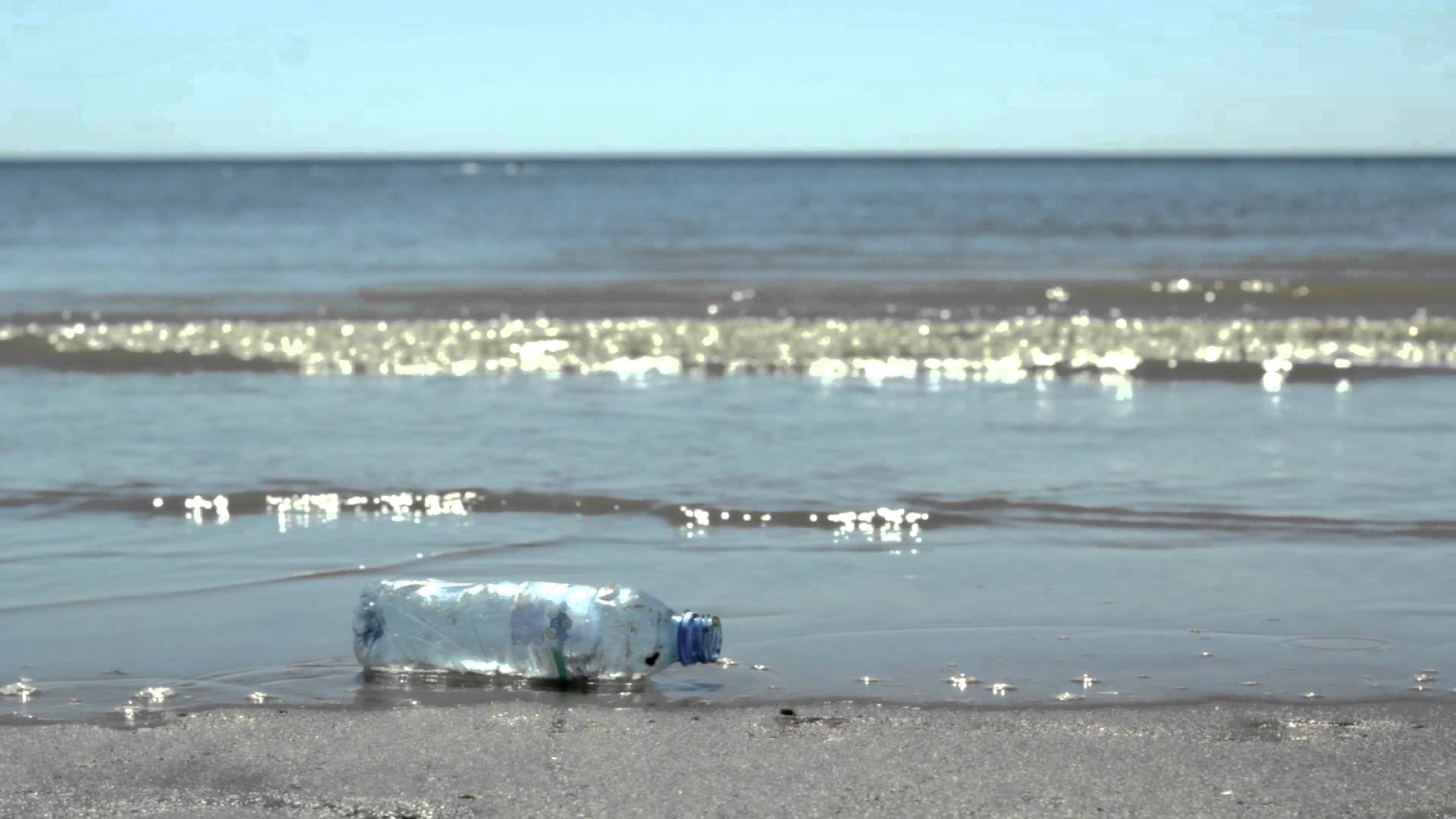 NUEVA EDICIÓN DE “YO AMO MI PLAYA”