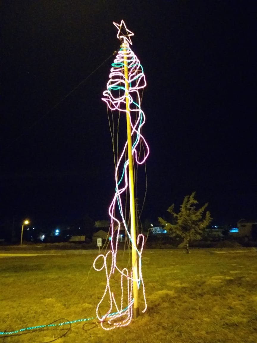 SE CANSÓ DE LAS LUCES NAVIDEÑAS Y LAS INTENTÓ ARRANCAR