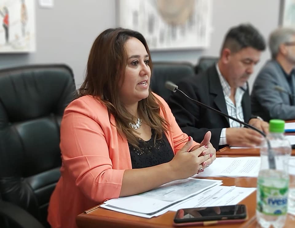 CONCEJALES RECLAMAN REUNIÓN CON AUTORIDADES DEL IPV