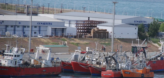 CORONAVIRUS: CONARPESA FRENA LA PESCA DE LANGOSTINO