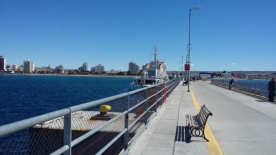 CORONAVIRUS: MUELLES DE MADRYN CERRADOS AL PÚBLICO