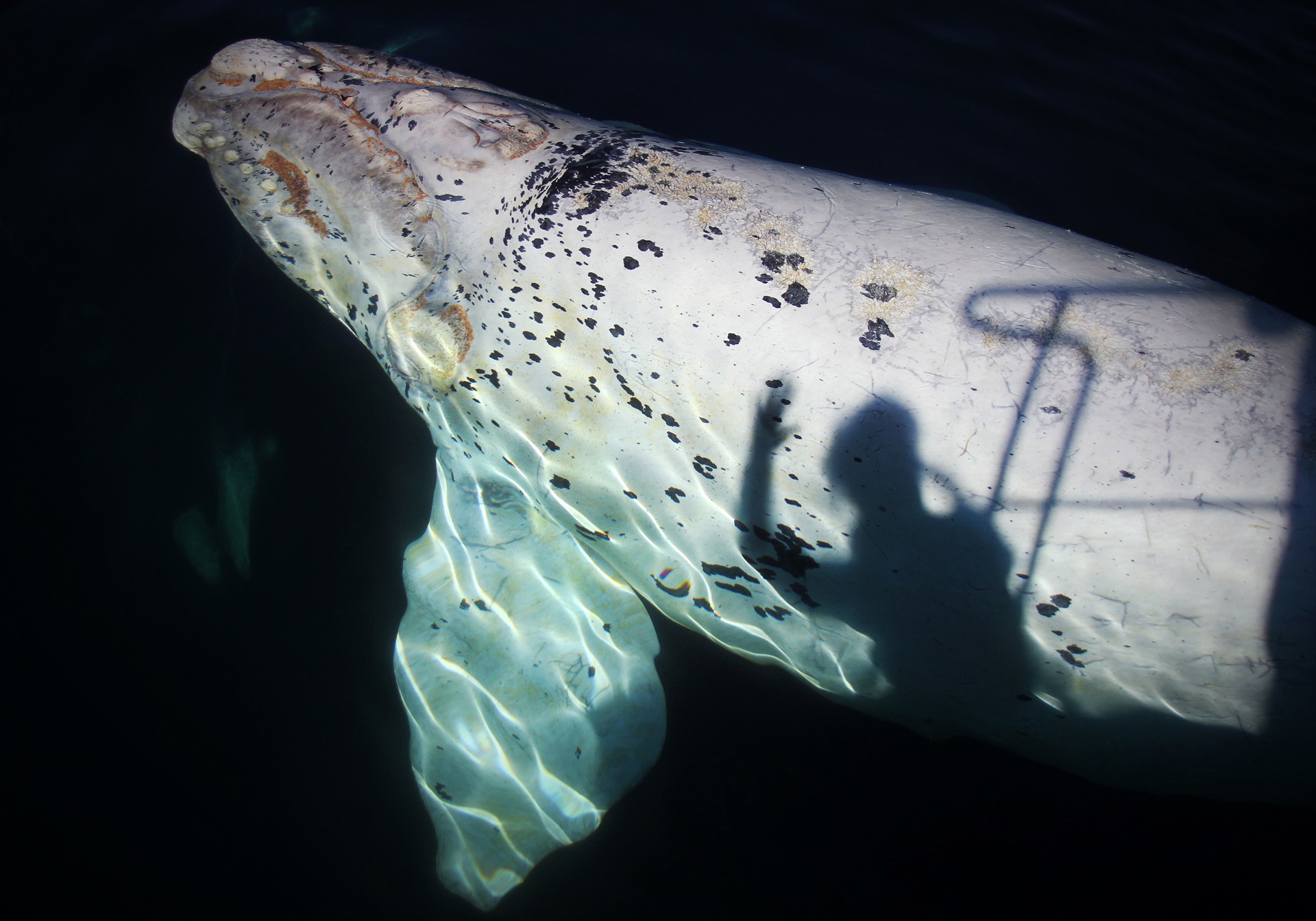 EXITOSO CONCURSO FOTOGRÁFICO “NATURALEZA SIN LÍMITES”