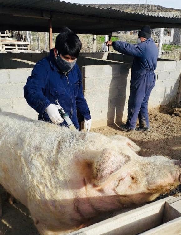 REALIZAN UN RELEVAMIENTO INTEGRAL EN LA RESERVA AGRÍCOLA FORESTAL