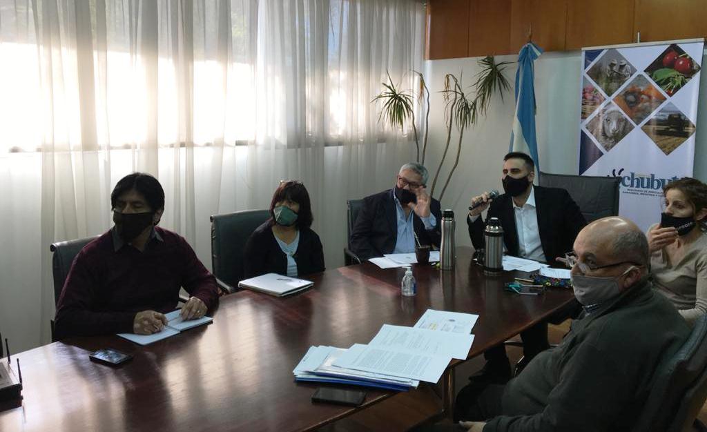 EL COMITÉ DE EMERGENCIA AGROPECUARIA AVANZA EN LA EVALUACIÓN DE DECLARACIONES JURADAS PARA OTORGAR FONDOS