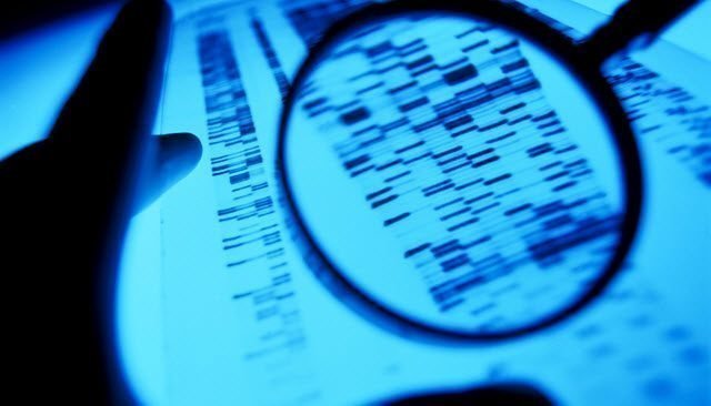 BUSCAN CREAR UN REGISTRO PROVINCIAL DE ADN DE DELINCUENTES