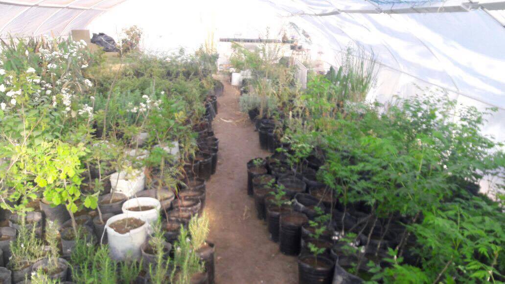 VIVERO MUNICIPAL ABIERTO CON LA LLEGADA DE LA PRIMAVERA