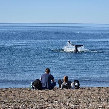SE CUMPLEN 19 AÑOS DE LA CREACIÓN DEL ÁREA NATURAL PROTEGIDA EL DORADILLO