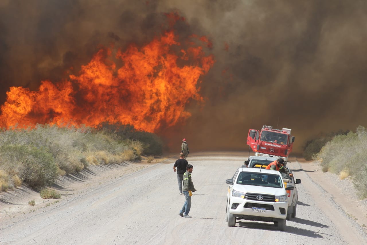 PREVENCIÓN DE INCENDIOS EN EL ANP EL DORADILLO