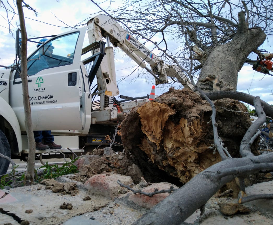 LUEGO DEL  TEMPORAL DE VIENTO SE REALIZARON INTENSOS TRABAJOS