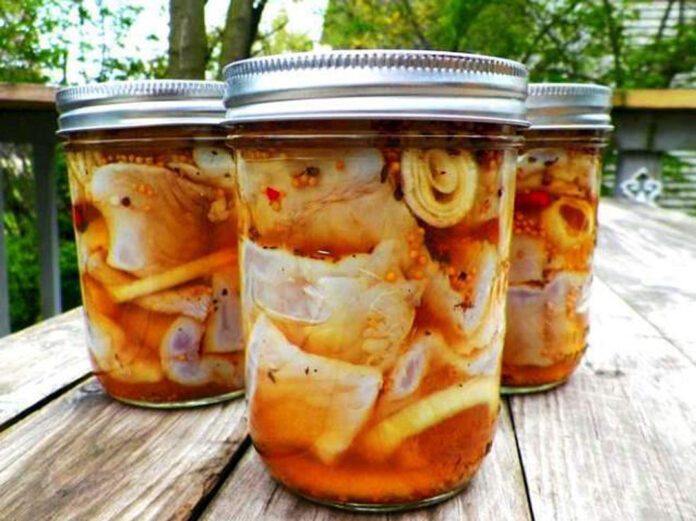 80 MILLONES PARA PROYECTOS DE DESARROLLO EN CHUBUT