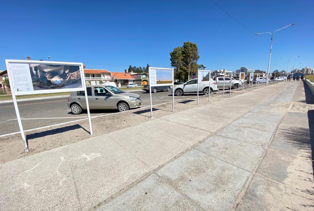 YA SE PUEDE VISITAR LA MUESTRA DE ARTE Y CONSERVACIÓN EN LA COSTA DE MADRYN