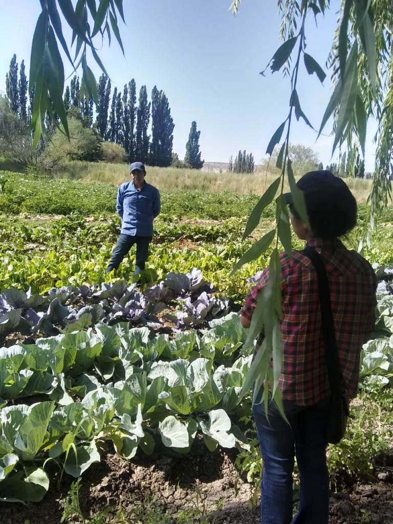 SANIDAD VEGETAL: LA COMISIÓN PROVINCIAL ACORDÓ CONTINUAR CON LA FISCALIZACIÓN EN CHACRAS Y COMERCIOS