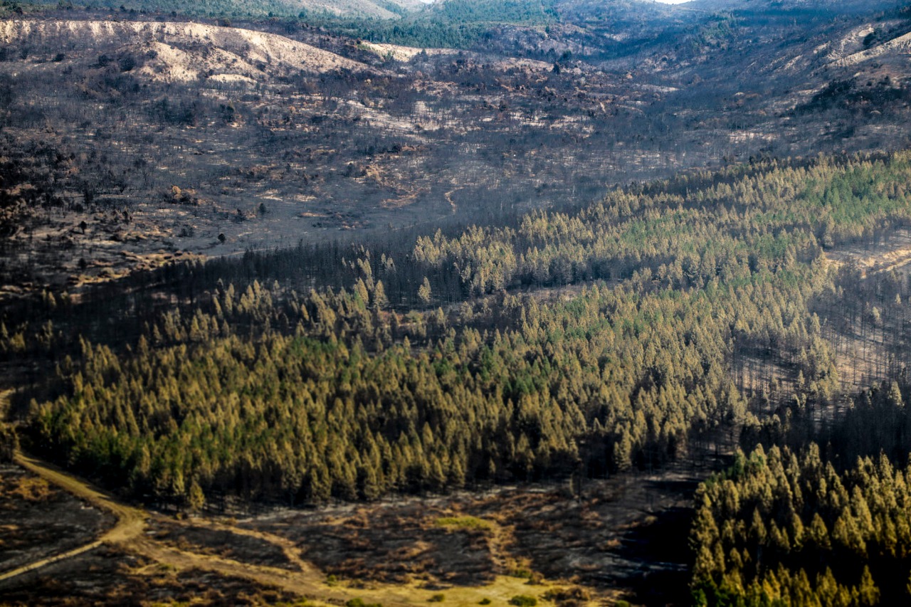 COMARCA ANDINA: CONTINÚAN LOS OPERATIVOS DE CONTROL DE FUEGO
