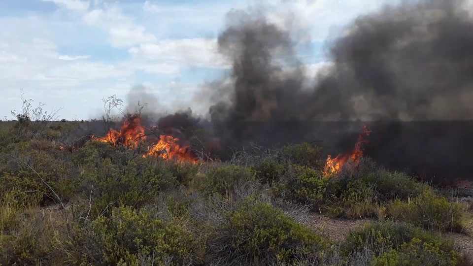 DURANTE EL 2020 INCREMENTARON UN 86% LOS INCENDIOS FORESTALES EN MADRYN