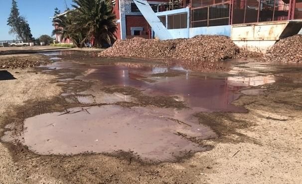 AMBIENTE LABRÓ ACTA A PROCESADORA DE PESCADOS POR DERRAME DE EFLUENTES LÍQUIDOS INDUSTRIALES
