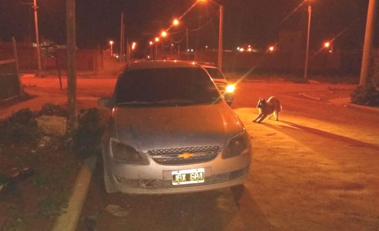 UN CIGARRILLO ENCENDIDO CASI PROVOCA UN INCENDIO GENERALIZADO DE VEHÍCULO