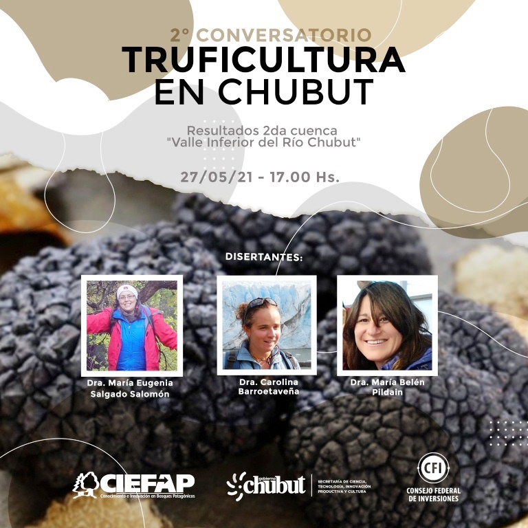 PRESENTARÁN INFORME SOBRE RESULTADOS DEL MAPA PARA EL CULTIVO DE TRUFA NEGRA EN CHUBUT