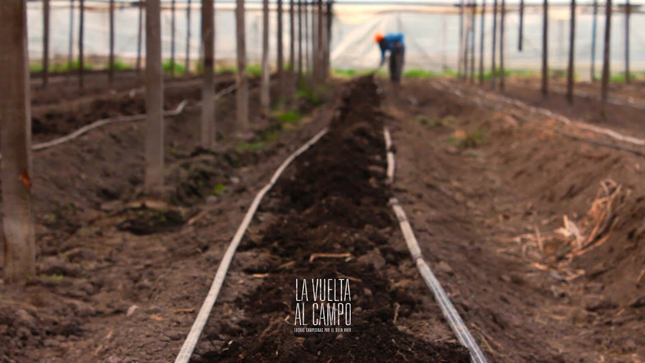 NUEVA FUNCIÓN EN ESPACIO INCAA DE PUERTO MADRYN