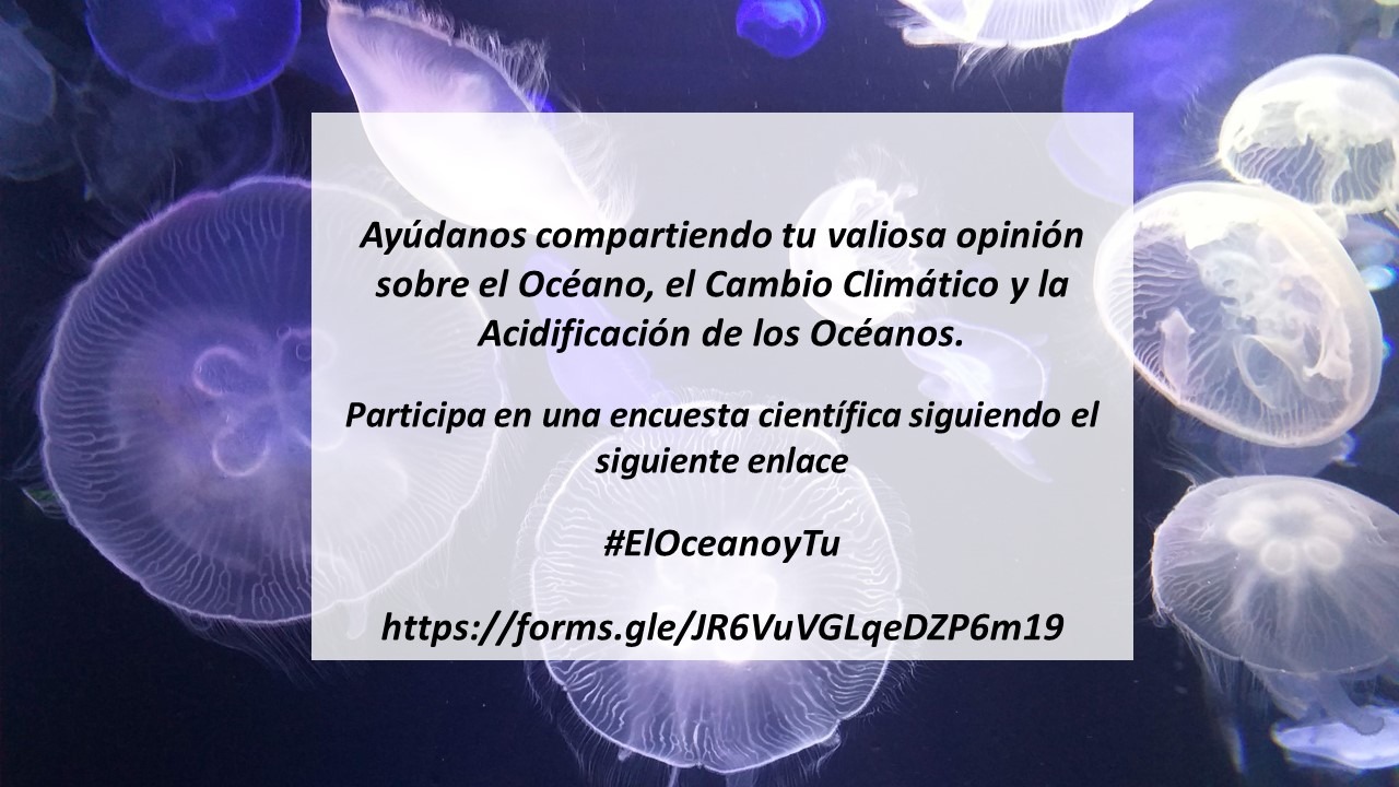 CUESTIONARIO OCÉANOS, CAMBIO CLIMÁTICO Y ACIDIFICACIÓN DEL OCÉANO