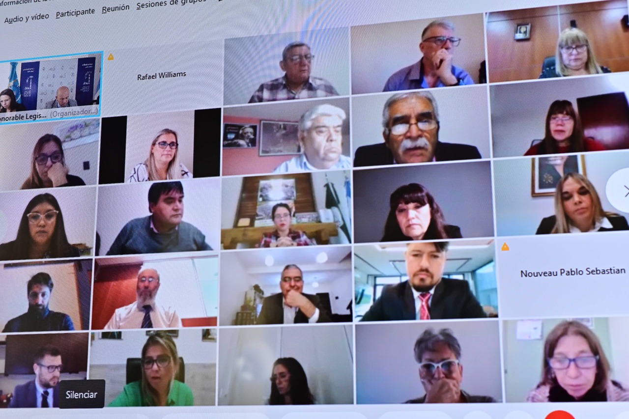 DIPUTADOS RECHAZARON LA INICIATIVA POPULAR 2020