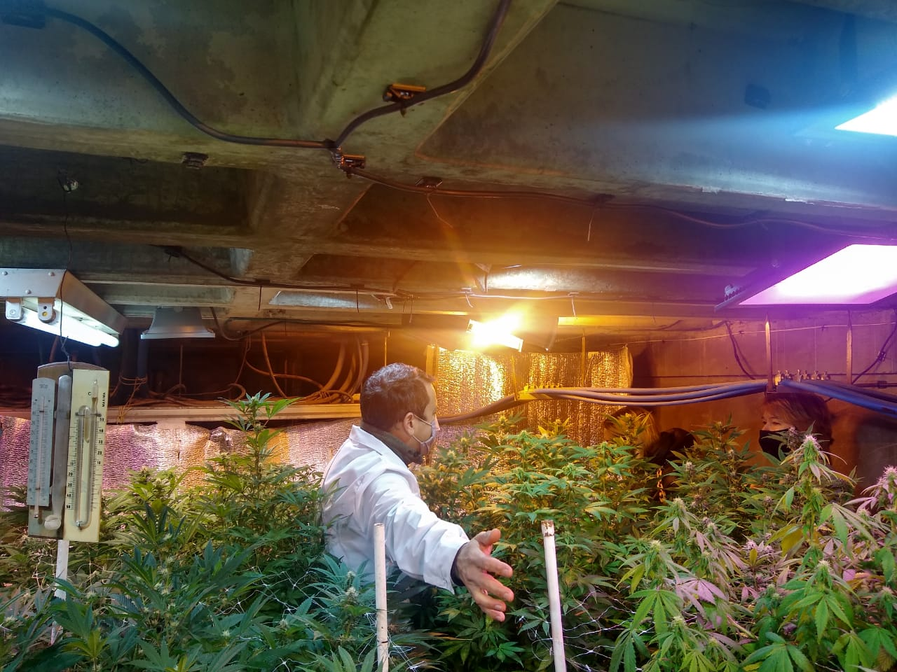 MADRES DE LA ASOCIACIÓN CANNABIS TERAPÉUTICO DE CANNABIS VISITARON EL CENPAT
