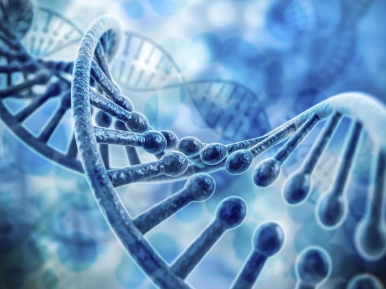 COMUNICARÁN A LA COMUNIDAD RESULTADOS DE UNA INVESTIGACIÓN SOBRE ANCESTRÍA GENÉTICA