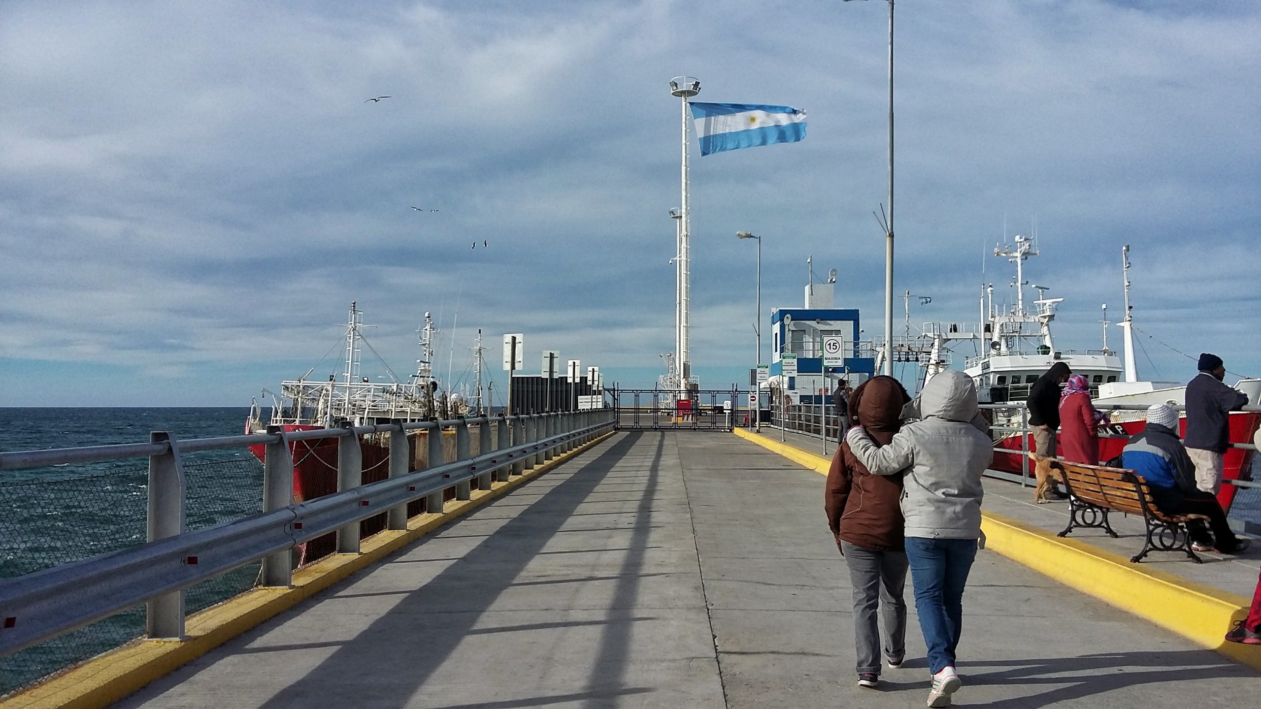 QUIENES SE TIREN DEL MUELLE AL AGUA SERÁN MULTADOS