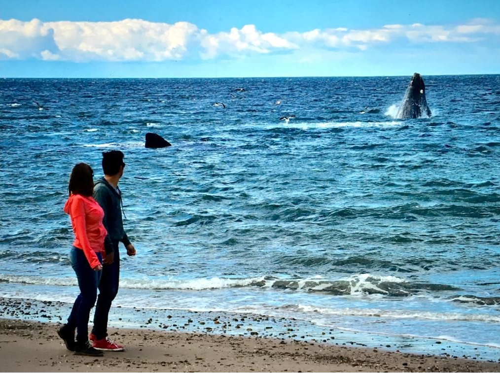 PUERTO MADRYN TENDRÁ OCUPACIÓN PLENA DURANTE EL FIN DE SEMANA LARGO DE OCTUBRE