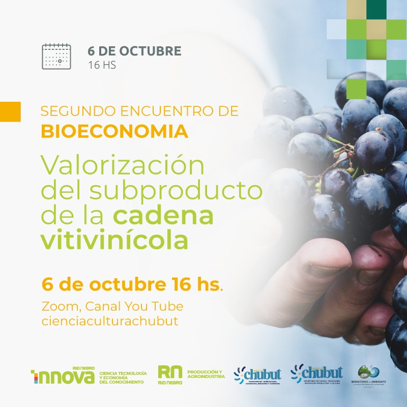 CHUBUT Y RÍO NEGRO REALIZARÁN EL SEGUNDO ENCUENTRO DE “BIOECONOMÍA: VALORIZACIÓN DEL SUBPRODUCTO DE LA CADENA VITIVINÍCOLA”